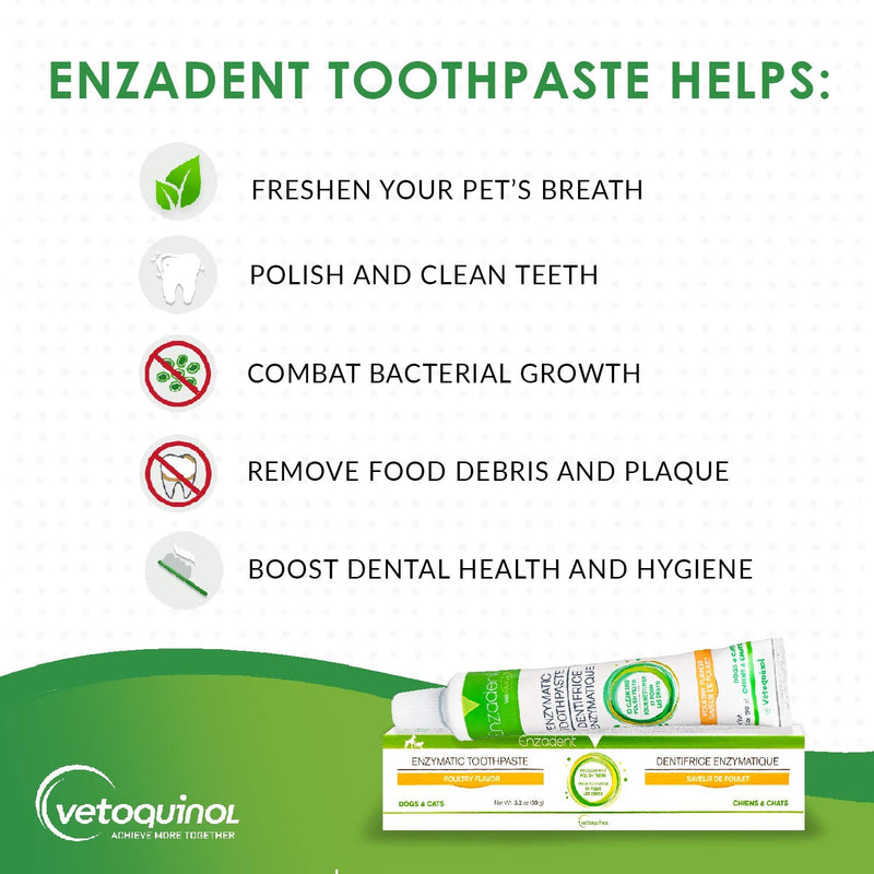 Vetoquinol Enzadent Enzymatic Toothpaste for Cats & Dogs – 3.2 oz, 3.17 Ounce (Pack of 1) - PawsPlanet Australia