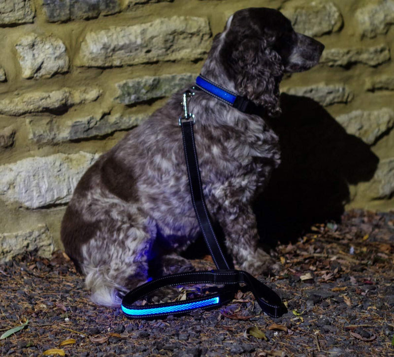 Illuminated Apparel Rechargeable LED Light Up Dog Pet Lead (Blue) Blue - PawsPlanet Australia