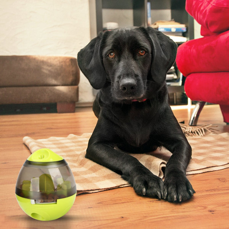 STAJOY Treat Ball Dog Toy Interactive Food Dispenser(GREEN) GREEN - PawsPlanet Australia