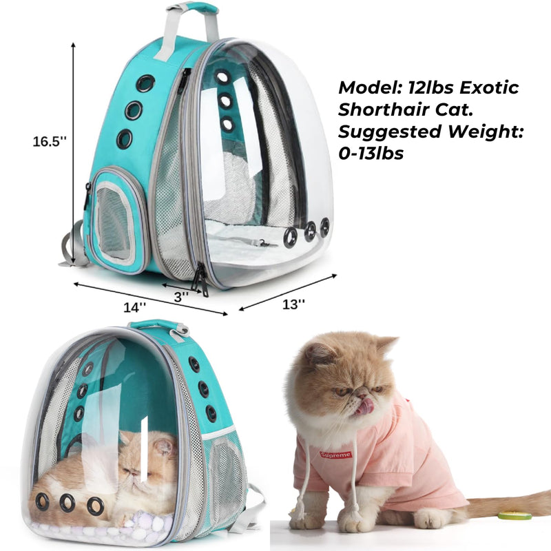 Lollimeow Pet Backpack, Bubble Cat Backpack, Cats and Dogs, Airline Approved, for Travel, Hiking, Walking and Outdoor Use, Front Expandable Green Front Expandable Green - PawsPlanet Australia