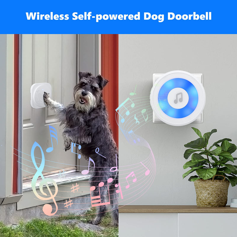 BOYKO Dog Doorbell Buttons, Smart Wireless Dog Potty Training Door Bells for Dogs to Ring to Go Outside, Super-Light Waterproof Press Button Doorbell, 1 Receiver & 2 Transmitter - PawsPlanet Australia