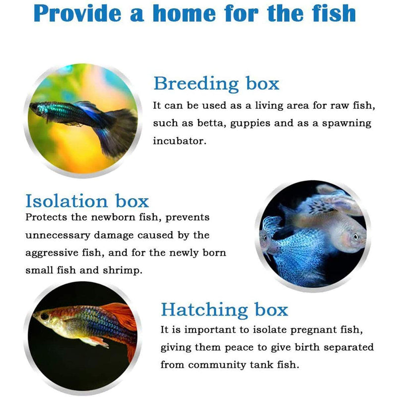 U/S Aquarium Fish Breeder Box, Fish Isolation Box, Hatching Box, Juvenile Fish Spawning Incubator, Water Isolation Net Hatchery (Green) 17x13x15cm - PawsPlanet Australia