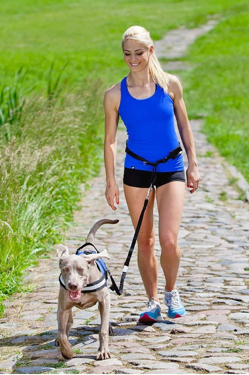 Dingo jogging belt 4 in 1 + dog leash with a shock absorber set L/XL belt: 3.0 x 70-130 cm dog leash: 2.5 x 120-150 cm black free hands for jogging, running 12779 L/XL (pack of 1) - PawsPlanet Australia