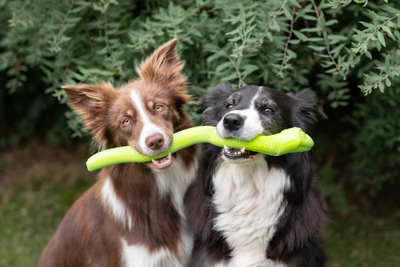 Trixie Snack Snake, treat activity toy for dogs - PawsPlanet Australia