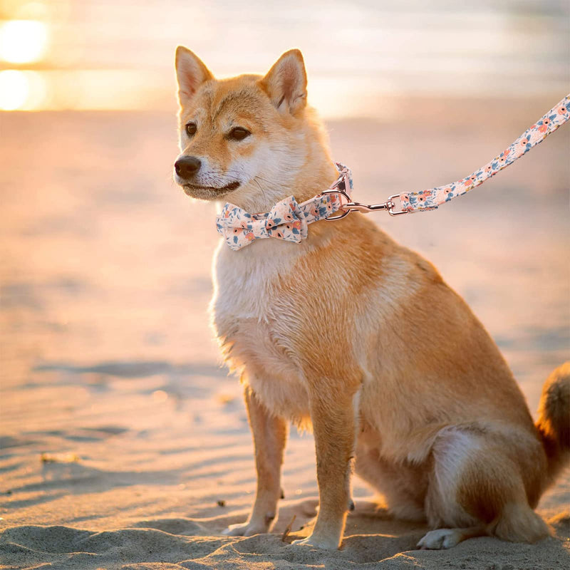 Cute Dog Collar and Leash Set with Bow Tie and Flower 4PCS, Soft Girl Heavy Duty Holiday Seasonal Dog Collar and Leash for Puppy Small Dogs Female with Adjustable Safety Metal Buckle, Orange S(Neck Girth: 11"-16", Width:5/8" ) - PawsPlanet Australia