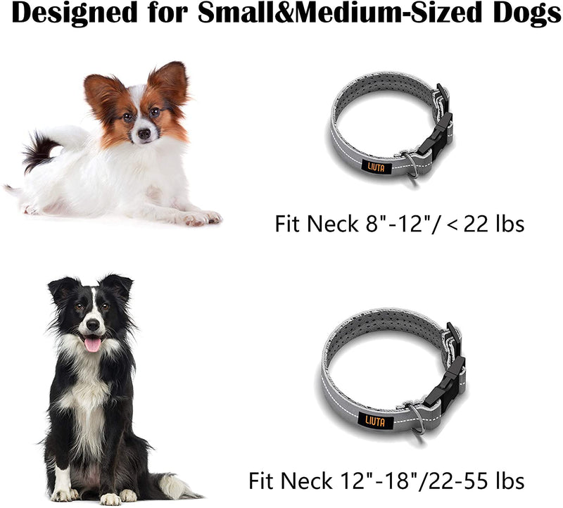 Puppy Leashes and Collar Set, Dog Lead for 8-18 inch Dogs, Length Adjustable Dog Leash with Anti-Slip and Comfortable Handle for Small and Medium Dogs. - PawsPlanet Australia