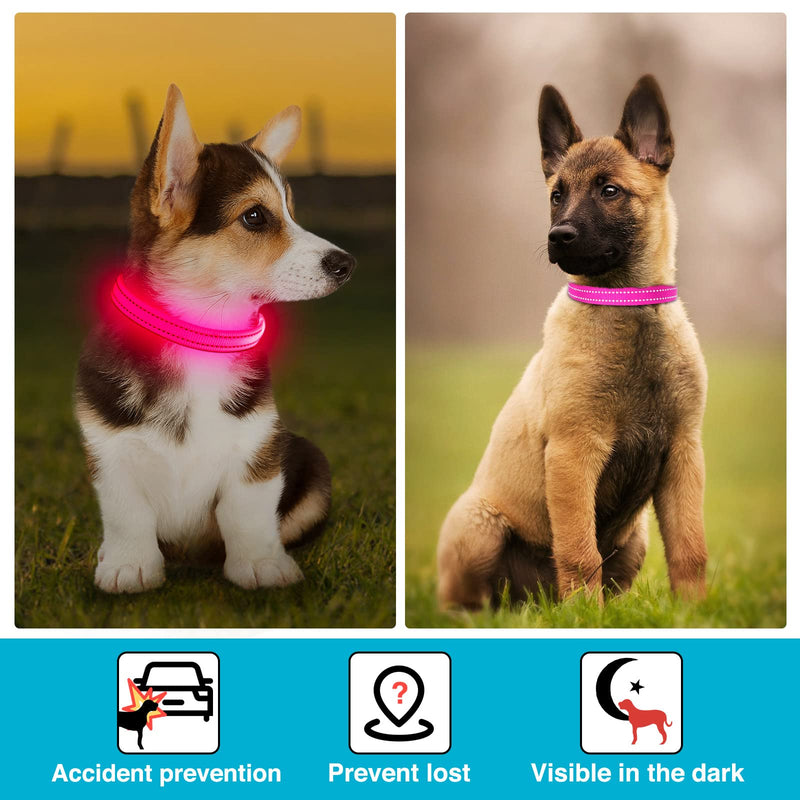 KOSKILL Luminous Dog Collar Rechargeable USB LED Dog Collar Waterproof Luminous Dog Collar Adjustable Super Bright for Small Dogs (Pink, S) Pink S - PawsPlanet Australia