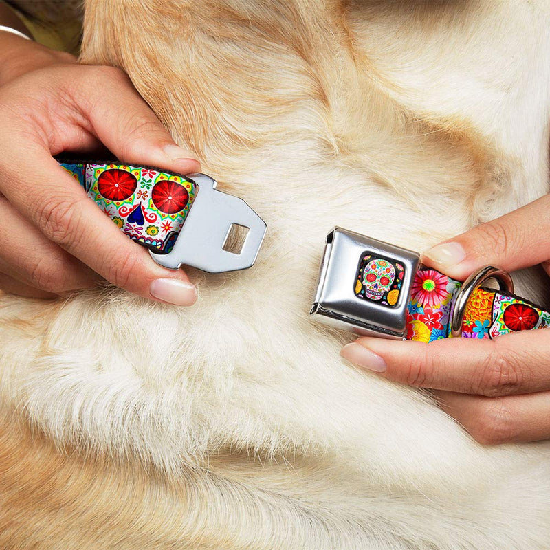 [Australia] - Buckle-Down Dog Collar Seatbelt Buckle Sugar Skull Starburst White Multi Color Available in Adjustable Sizes for Small Medium Large Dogs 1" Wide - Fits 15-26" Neck - Large 