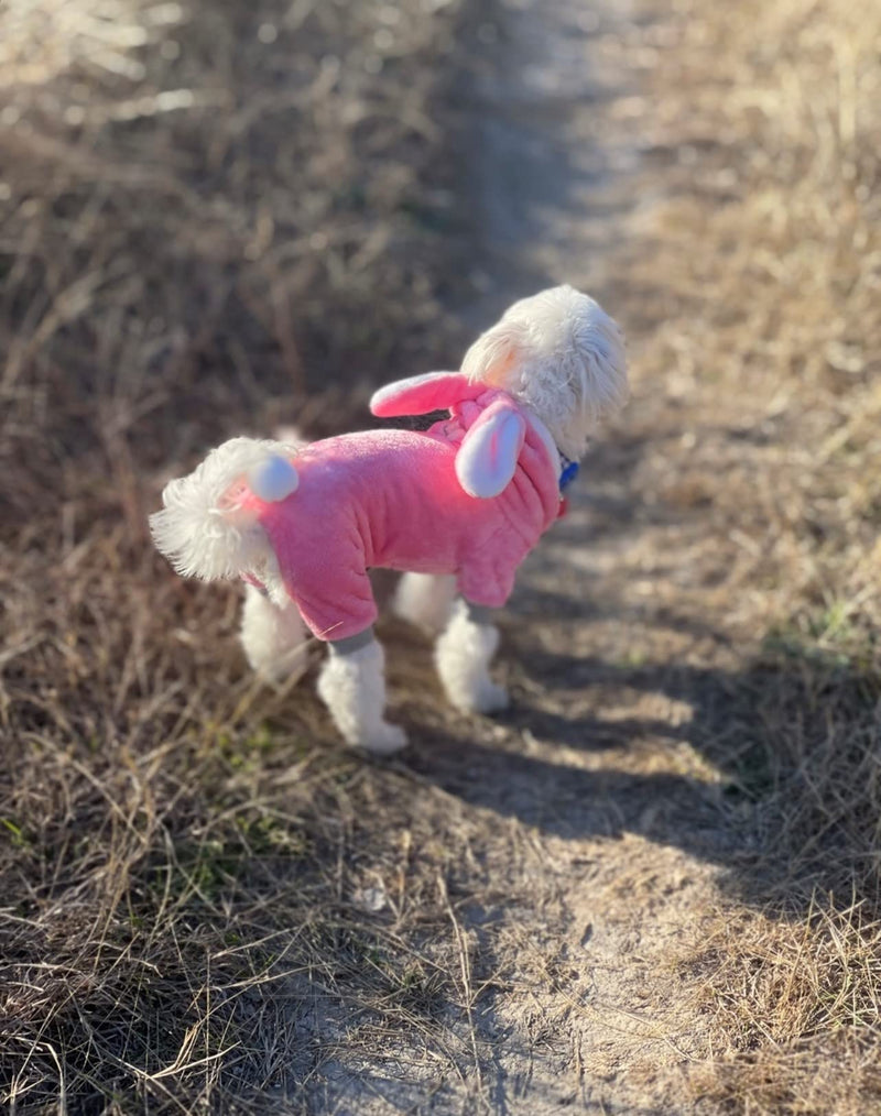 Pink Bunny Dog Outfit Pet Dogs Cats Puppy Clothes Knitwear Dog Sweater Soft Adorable Warm Pup Dogs Shirt Winter Puppy Sweater for Dogs Small - PawsPlanet Australia