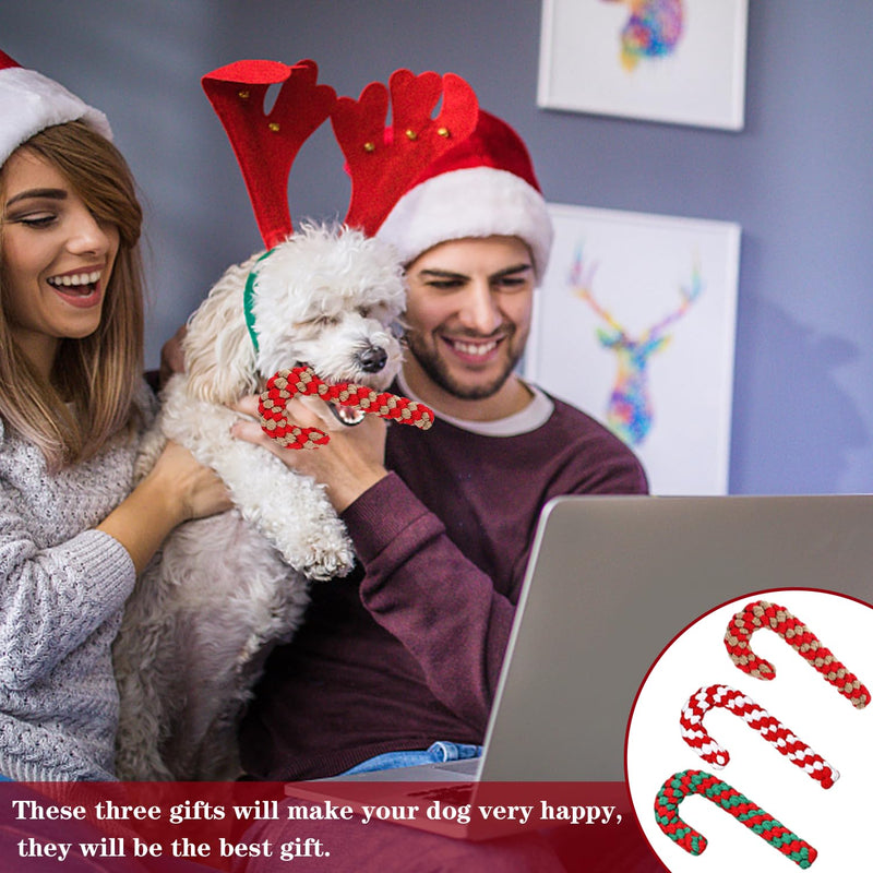 Christmas dog toy, Christmas candy cane rope, dog toy candy cane, dog toy rope, dog chew toy, Christmas gift dog toy for small dogs - PawsPlanet Australia