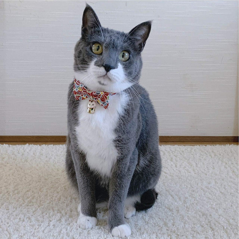 [Australia] - Necoichi Lucky Cat Charm Bow Tie Cat Collar Red 