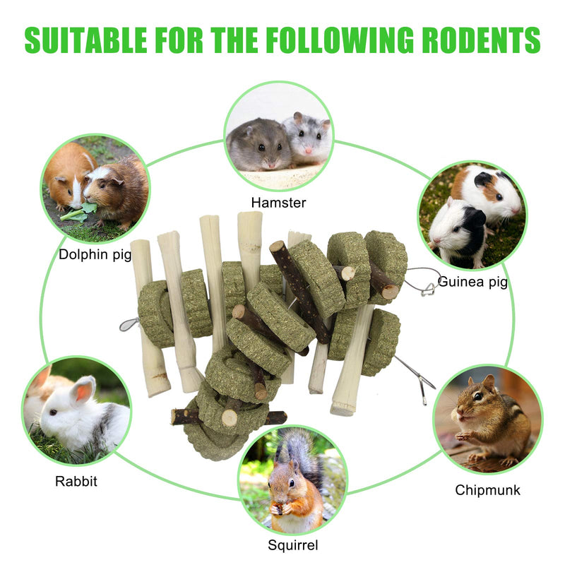 CJWDZ 6Pcs Bunny Chew Toys Rabbit Toys Small Animals Tooth Toy Natural Apple Wood and Heart-shaped Grass Skewers for Rabbits Chinchillas Guinea Pig Hamste Chewing Improve Dental Health 6PCS-Rabbit toys - PawsPlanet Australia