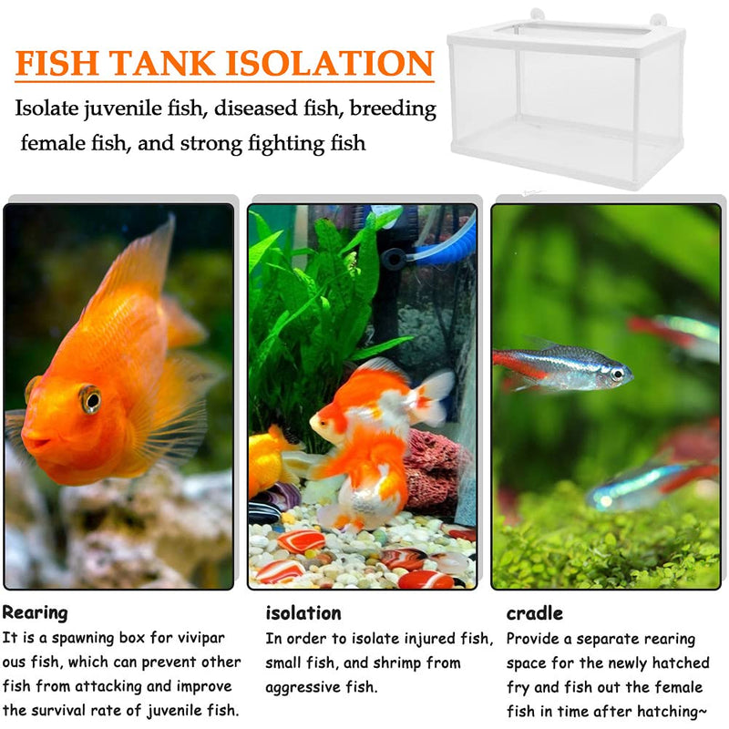 2 Pack Fish Breeding Box, Large Size Fish Tank Breeder Net, Aquarium Separation Net Nylon Incubator Mesh, Fry Hatchery Incubator Mesh with 4 Suction Cup for Newborn Small Fish, 10"x 6"x 6" - PawsPlanet Australia