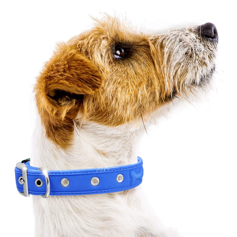 [Australia] - metric usa Comfort Fit Pet Padded Dog Collar ● Red ● Blue ● Purple ● Black with Buckle Adjustable 4 Sizes ● So Comfortable Your Dog Will not Feel The Dog Collar on! Large 