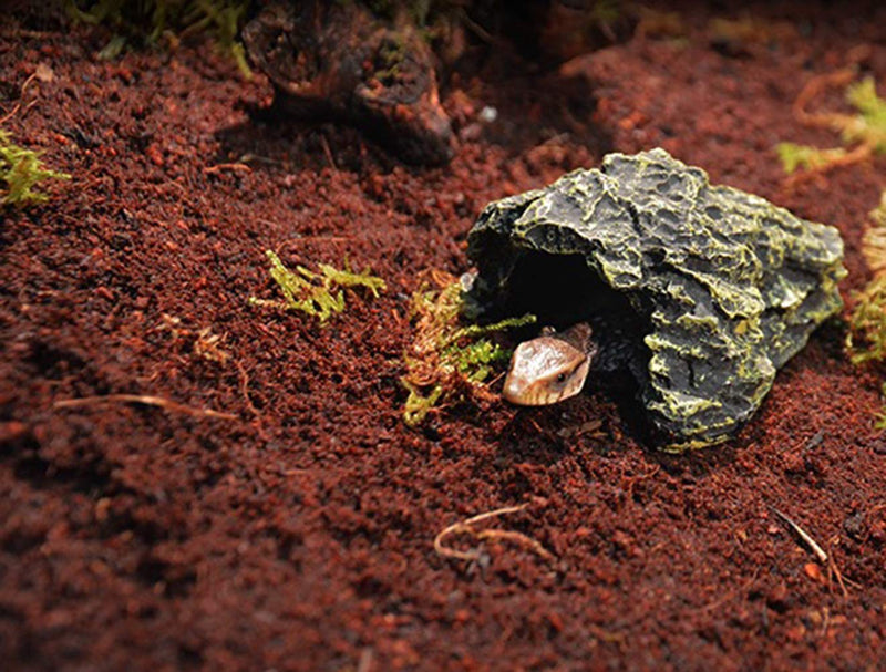 Megawa Reptile Cave Reptile Basking Platform Hiding Habitat Reptile Habitat Decoration for Small Lizards Gecko Scorpion Spider Reptile - PawsPlanet Australia
