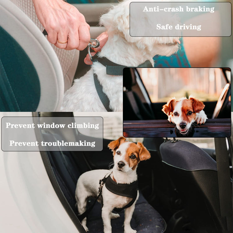 2 pieces dog seat belt car, BOOSHMall dog belt for the car, adjustable seat belt dog seat belt, with strong carabiners, for all dog breeds and car seat trunk, black - PawsPlanet Australia