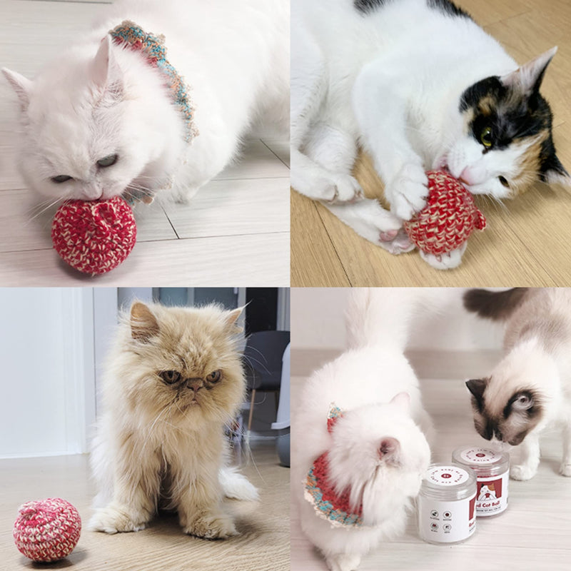JAYU PET Red Cat Ball - Cat Toys Kitten Toys | Interactive Cat Toy | Catnip Toys | Cat Ball Toys | Cat Toys for Indoor Cats | Cat Balls | Catnip Ball Toy - PawsPlanet Australia