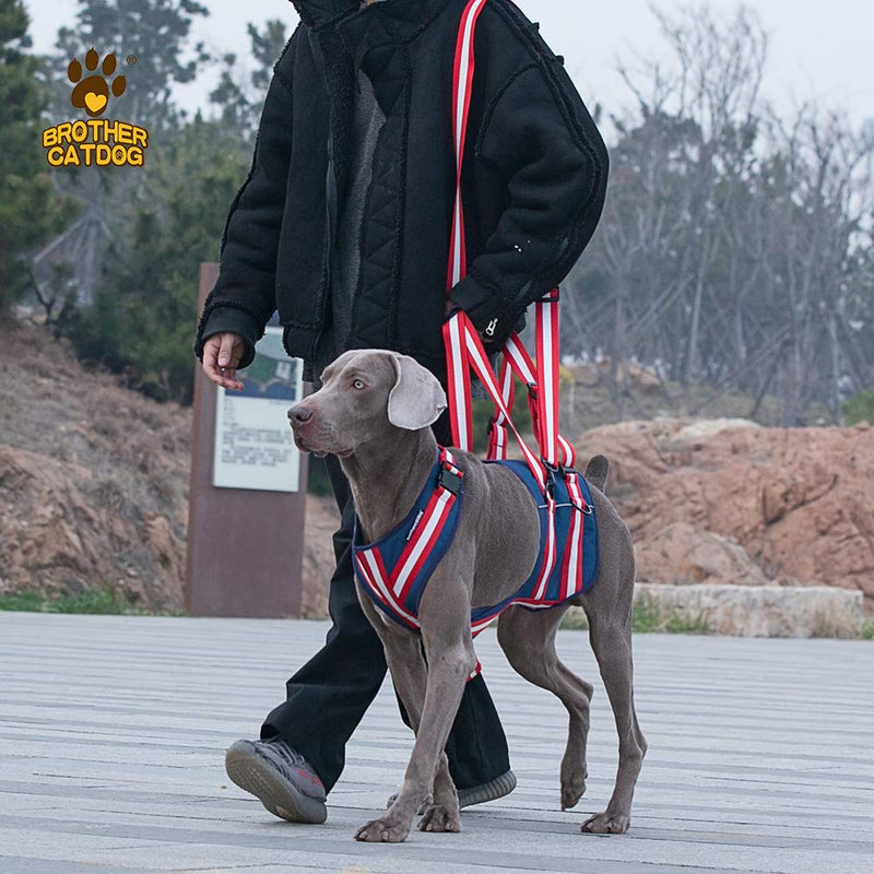 XTrador dog harness carrying aid for dogs especially for hip problems carrying strap for injured, older or musculoskeletal limited dogs rehabilitation safety walking aid (M) M - PawsPlanet Australia