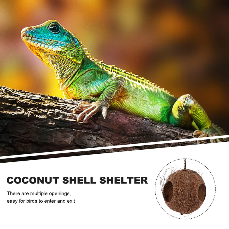 ULTECHNOVO Bird Hut Nesting Gecko Reptile Hideouts, Gecko Coconut Husk Hut Cave Habitat with Hanging Loop for Leopard Gecko Reptiles Amphibians and Small Animals - PawsPlanet Australia