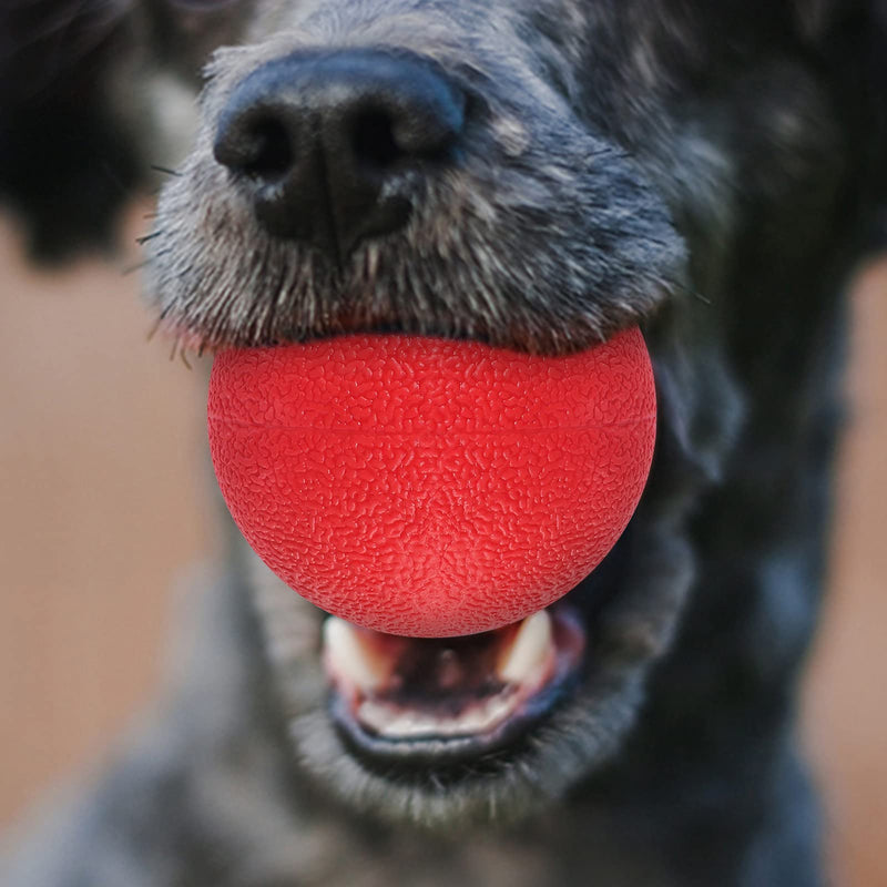 Fyy 3PCS Dog Ball Toys, Chew Toys Solid Rubber Bouncy Ball Pet Tooth Cleaning Toys for Playing and Exercising (5CM+6CM+7CM) A-Red (5+6+7CM) - PawsPlanet Australia