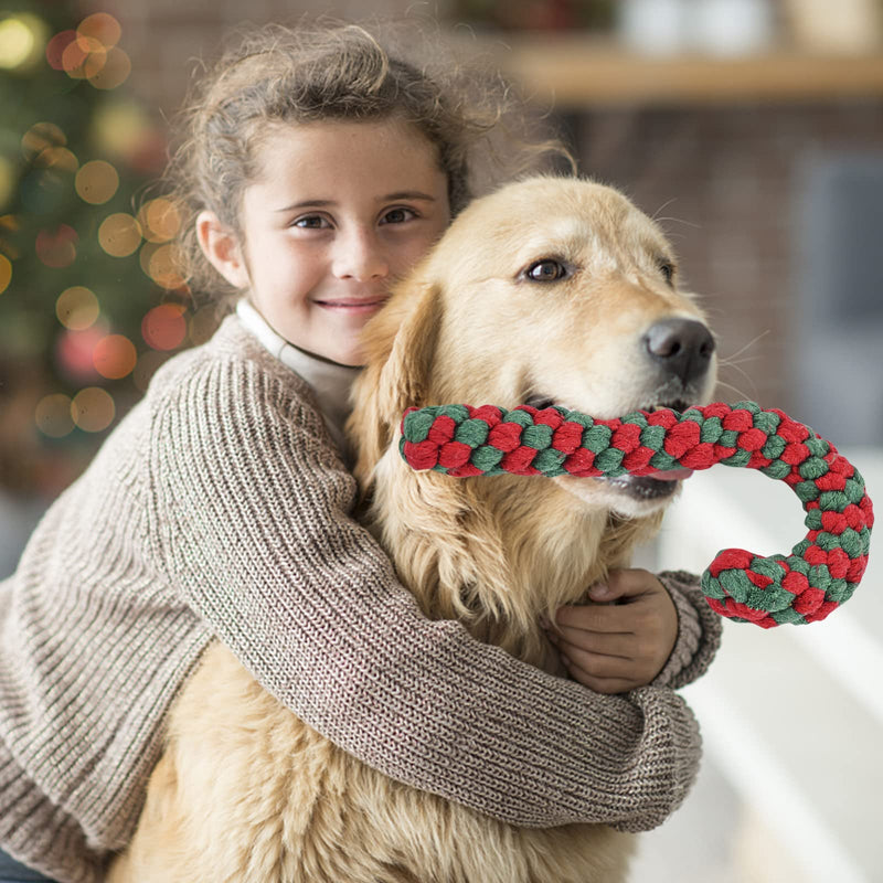 Dog toy, pack of 3 dog chew toys, dog toy indestructible, Christmas dog toy, dog toy Christmas, dog cuddly toy for medium-sized dogs, small dogs, puppy toy B - PawsPlanet Australia