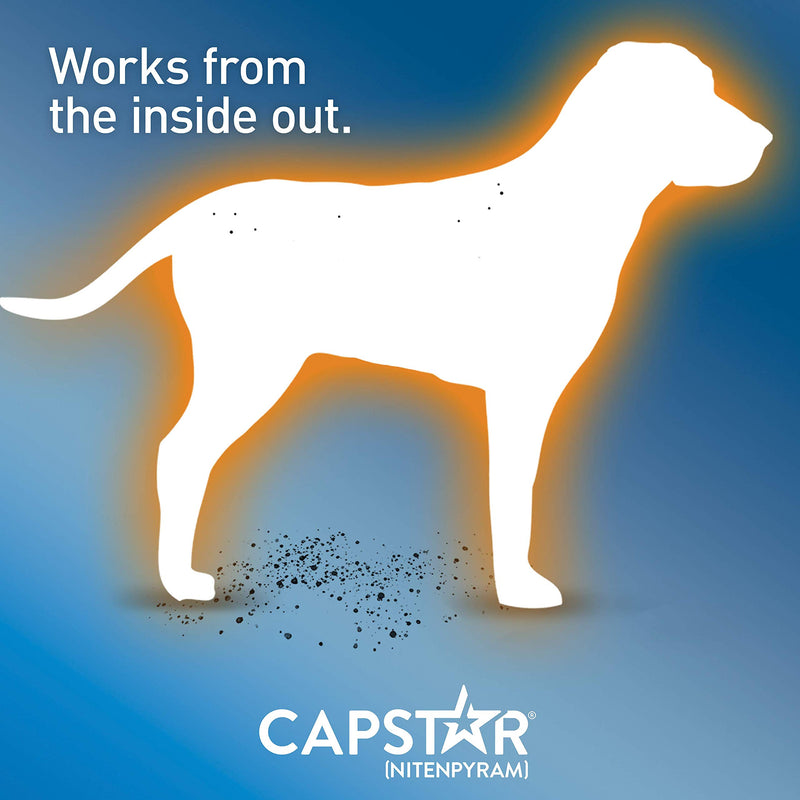 Capstar Fast-Acting Oral Flea Treatment for Dogs Small Dogs, 2-25 lbs - PawsPlanet Australia