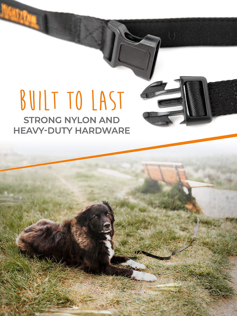 Mighty Paw Long Dog Leash | Pet Lead for Off-Leash Recall Training. Premium Quality Nylon Tie Out, Includes a Buckled Padded Handle. Great for Yard, Camping and Training. 15 Feet Black - PawsPlanet Australia