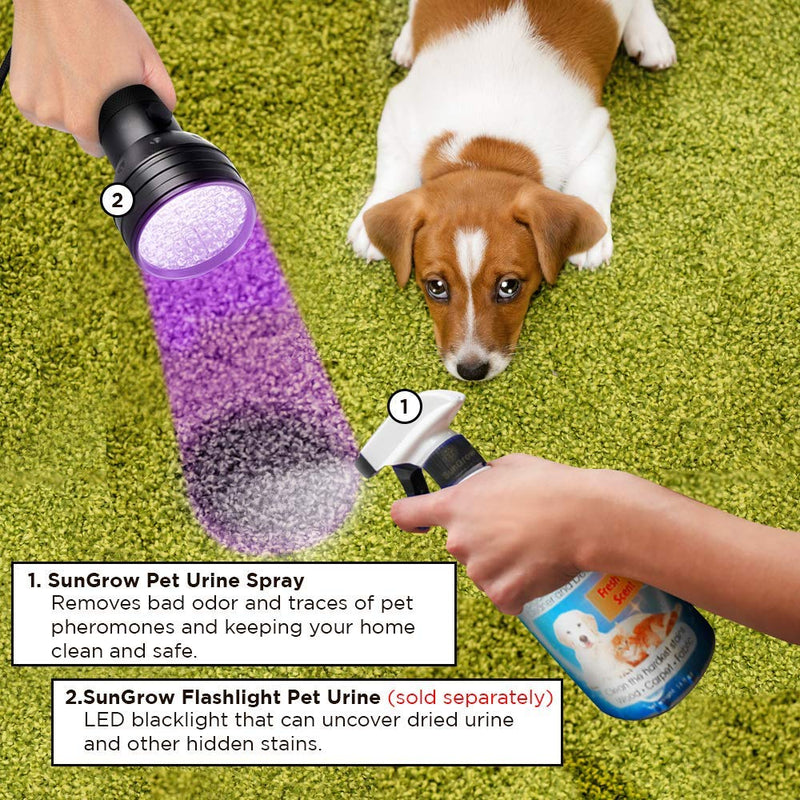 [Australia] - SunGrow Pet Urine Stain Clear Spray, for Dogs and Cats Owners, with Pleasant Orange Oil Extracts, Effective for Clothing, Rugs, Countertops and Floor, 16-Ounce 