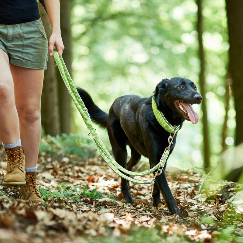 HUNTER Adjustable leash Hilo 25/200 mesh, lime X-Large - PawsPlanet Australia