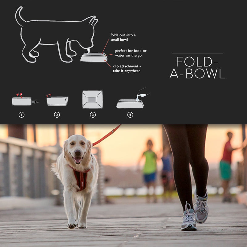 [Australia] - EzyDog Fold-A-Bowl Portable Dog Bowl Large Black 