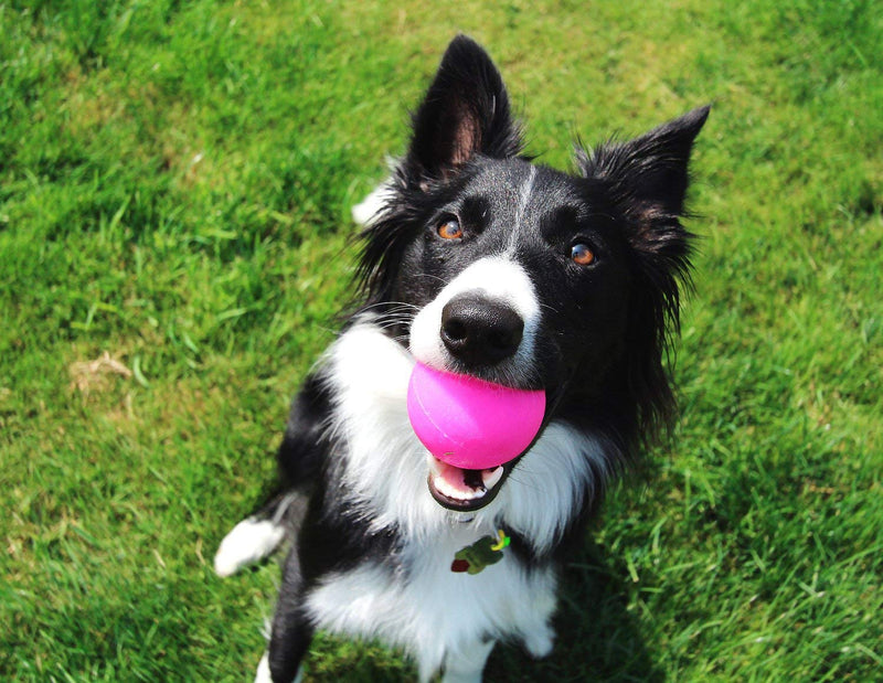 [Australia] - Ruff Dawg Ball XL Solid Rubber Dog Toy Large Assorted Neon Colors 