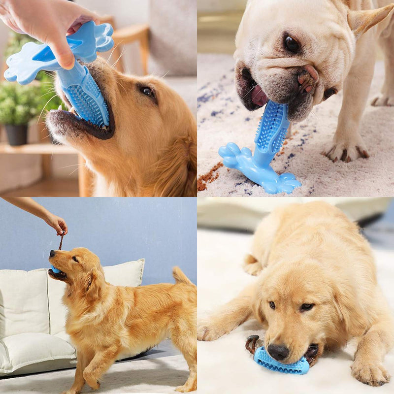 Dog Toothbrush Stick and Training Chew Toy, 2-Pack Set Pet Chew Toy, Non-Toxic Natural Rubber, Dental Care for Dogs, Teeth Cleaning (M, Blue) - PawsPlanet Australia