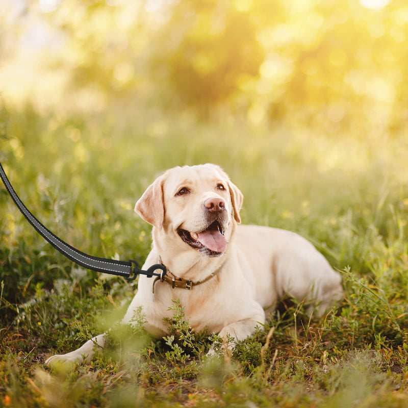 WELLGRO drag leash for dogs with hand strap 3m / 5m / 10m / 15m / 20m / 25m / 30m dog leash robust nylon anti-slip reflective metal carabiner training leash, sizes: 3 meters 3 meters - PawsPlanet Australia