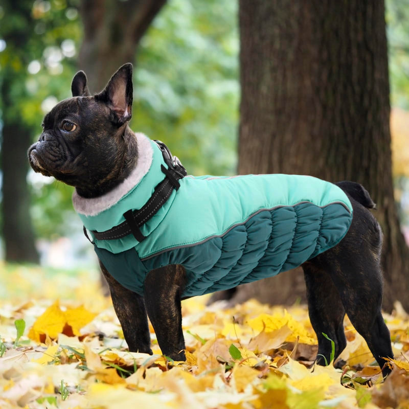 ASENKU Warm Dog Coat, Winter Dog Jacket with Harness, Waterproof Dog Coat with Belly Protection, Dog Clothing Outfit for Small Large Dogs, Warm Fleece Dog Coat, Blue, XS - PawsPlanet Australia