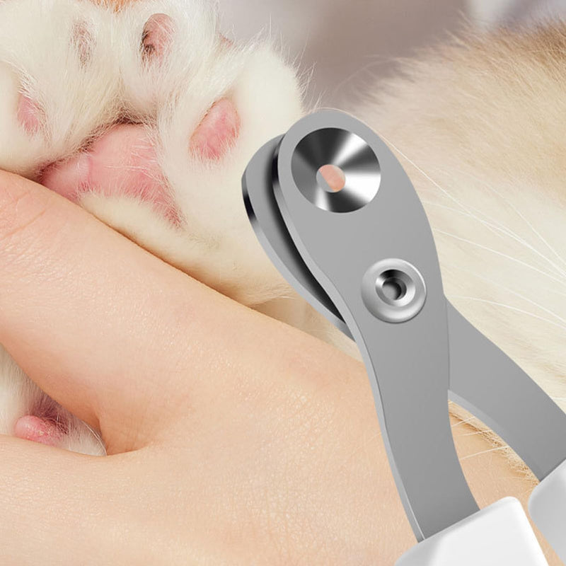 Claw scissors for cats pink, professional cat nail scissors, claw scissors for dogs, small cats, claw cutter, safety, cat accessories, ideal for small dogs, puppies, cats with file and cat brush - PawsPlanet Australia