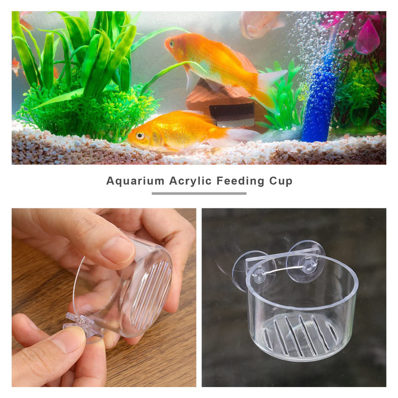 4PCS Red Worm Feeder with Sucker Fish Tank Plant Shrimp Acrylic Feeding Bowl Bloodworm Water Food Dish Transparent Feeding Cup for Fish Shrimp Fish Tank - PawsPlanet Australia