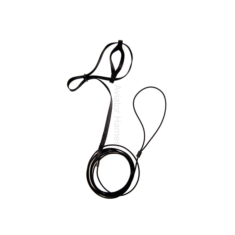 The AVIATOR Pet Bird Harness and Leash XXXS Black - PawsPlanet Australia