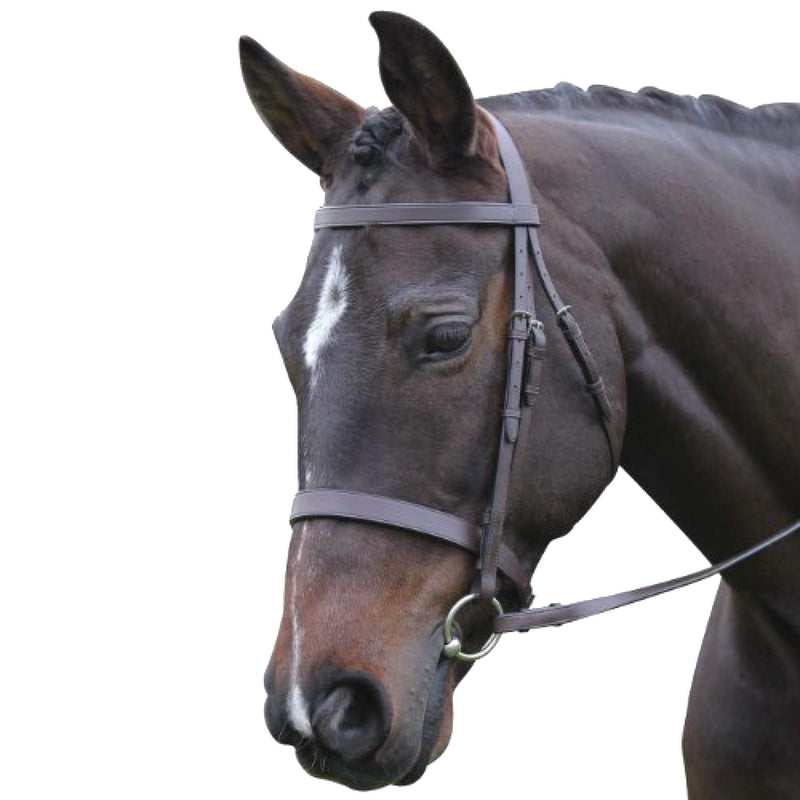 Kincade Hunt Cavesson Bridle II - Brown Black Full - PawsPlanet Australia