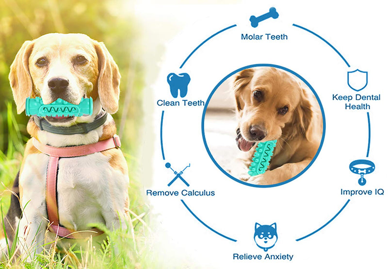 Dog Toothbrush chew Stick-Dog Chew Toy-Natural Rubber Teeth Cleaning Dog Chew Toys-Suitable for Small and Medium Dogs,Pet Training Clicker. - PawsPlanet Australia