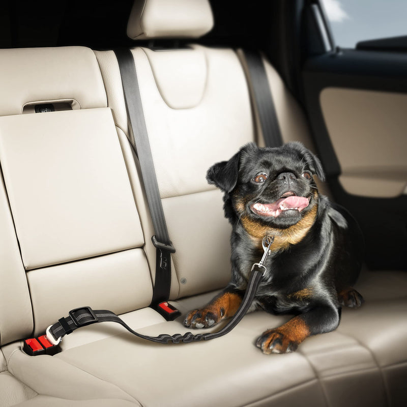 Seat Belt for dogs with Anti shock Bungee Buffer One of Important Car Travel Accessories for Dogs Adjustible, Elastic - PawsPlanet Australia