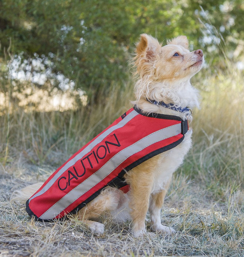 CAUTION (Do Not Approach) Red Colour Coded S M L Reflective Waterproof Fleece Lined Warm Dog Coats PREVENTS Accidents By Warning Others Of Your Dog In Advance (S) Small Coat - PawsPlanet Australia