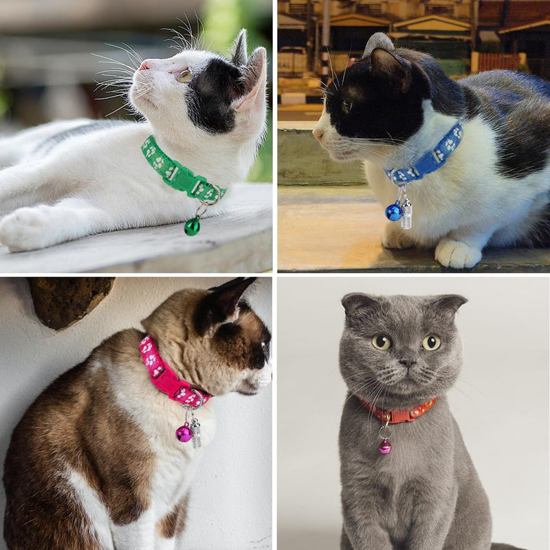 WHC Pack of 12 cat collars with safety clasp and bell and cat collar name address, colorful removable cat collars, adjustable cat collar 19-32 cm for cats and puppies, rabbits - PawsPlanet Australia