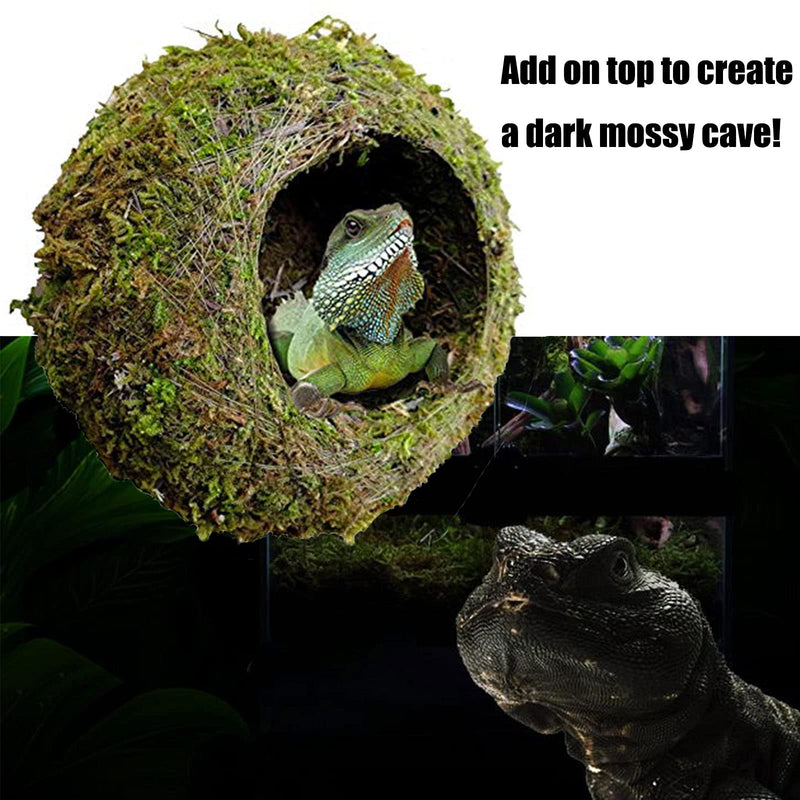 kathson 2pcs 6" Reptile Moss Cave Hide for Humidity,Mossy Hideout for Turtle Crested Gecko Spider Lizard Frog Chameleon 2Pcs(6 in) - PawsPlanet Australia