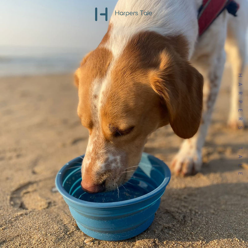Harpers Tale Two pack Collapsible Travel Dog Bowl -1000ml Blue and 400ml Green with Carabiner Clip Integrated Molding Food Safe Silicone Lightweight Leak-Proof No Plastic Rim - PawsPlanet Australia
