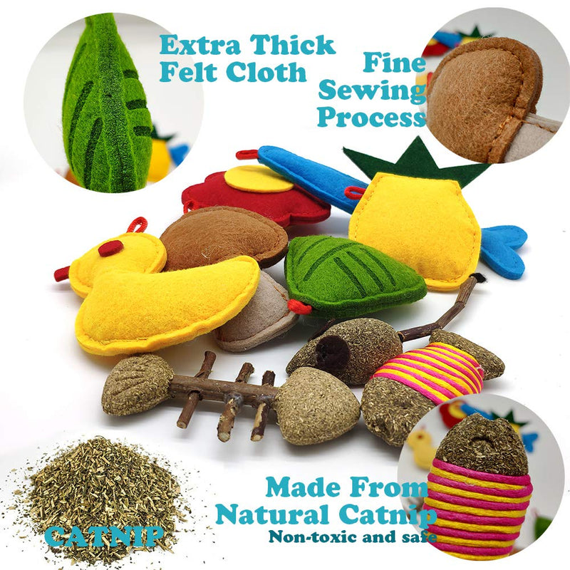 [Australia] - Amogato 9 Pack Catnip Toys for Indoor Cats, Kitten Cat Toys with Catnip Natural for Dental Health 