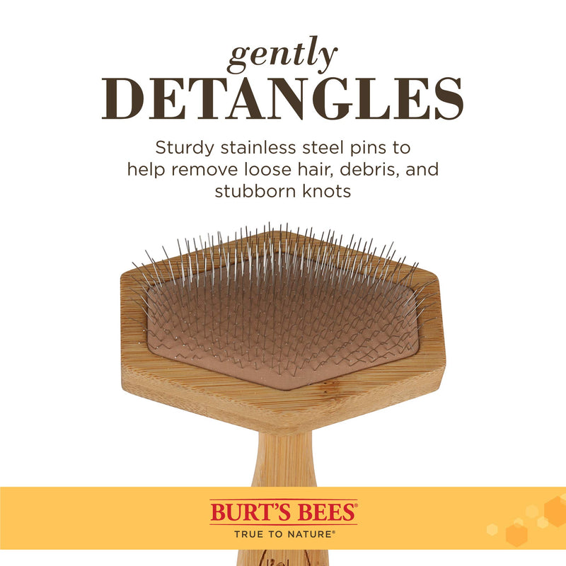 [Australia] - Burt's Bees for Cats Slicker Brush | Cat Brush Removes Loose Fur and Prevents Matting | Slicker Brush for Cats | Cat Brushes for Grooming to Keep A Smooth Coat | Ideal for Daily Grooming 