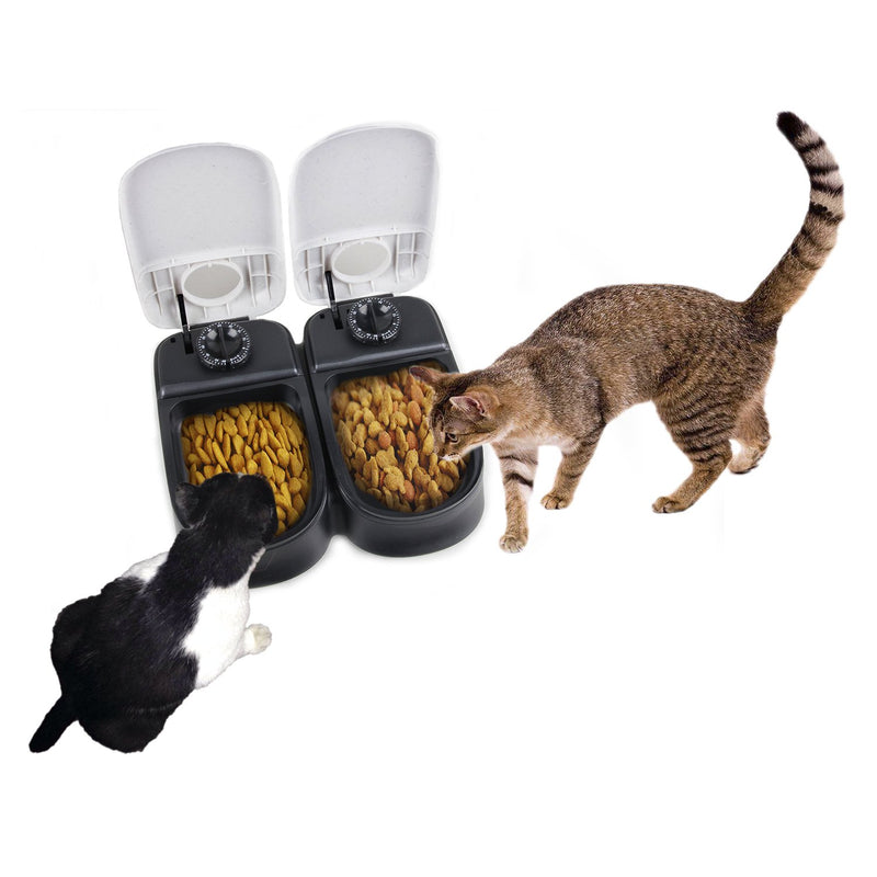 [Australia] - PAWISE Automatic Pet Feeder for Dogs, Cats and Small Animals,Auto Pet Food Dispenser 2 Meal-300ml*2 