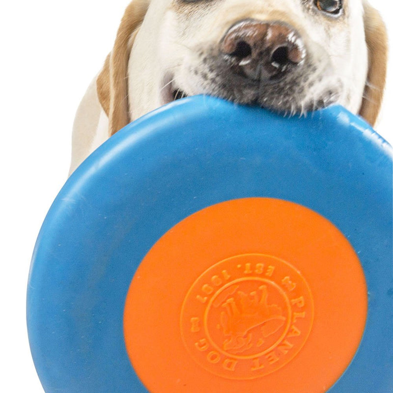 Planet Dog Orbee-Tuff Zoom Flyer Toss and Fetch Dog Toy Blue/Orange - PawsPlanet Australia