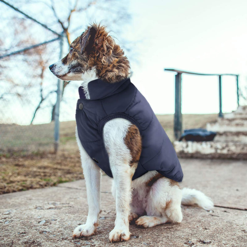 [Australia] - ASENKU Windproof Dog Winter Coat Waterproof Dog Jacket Warm Dog Vest Cold Weather Pet Apparel with 2 Layers Fleece Lined for Small Medium Large Dogs XL: Chest 20-22.8", Length 16.5" Blue 