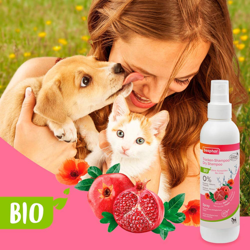 beaphar 17750 organic dry shampoo for dogs and cats, gentle care and cleaning of the fur without water, 200 ml dry shampoo - PawsPlanet Australia